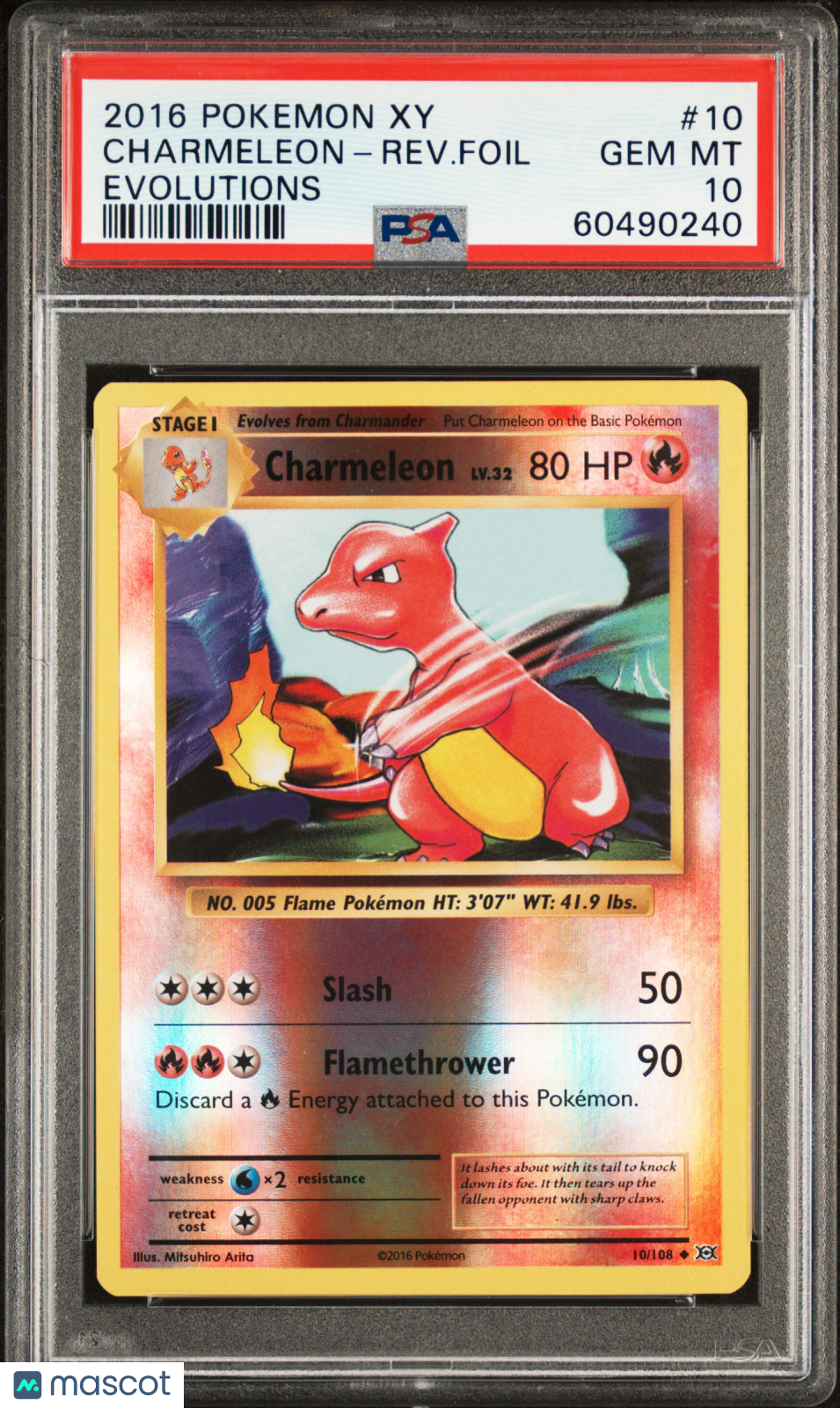 2016 charmeleon pokemon card Charmander & 8 Lot Weakness / Resistance / Retreat Cost Charmeleon English Pokemon Trading Cards