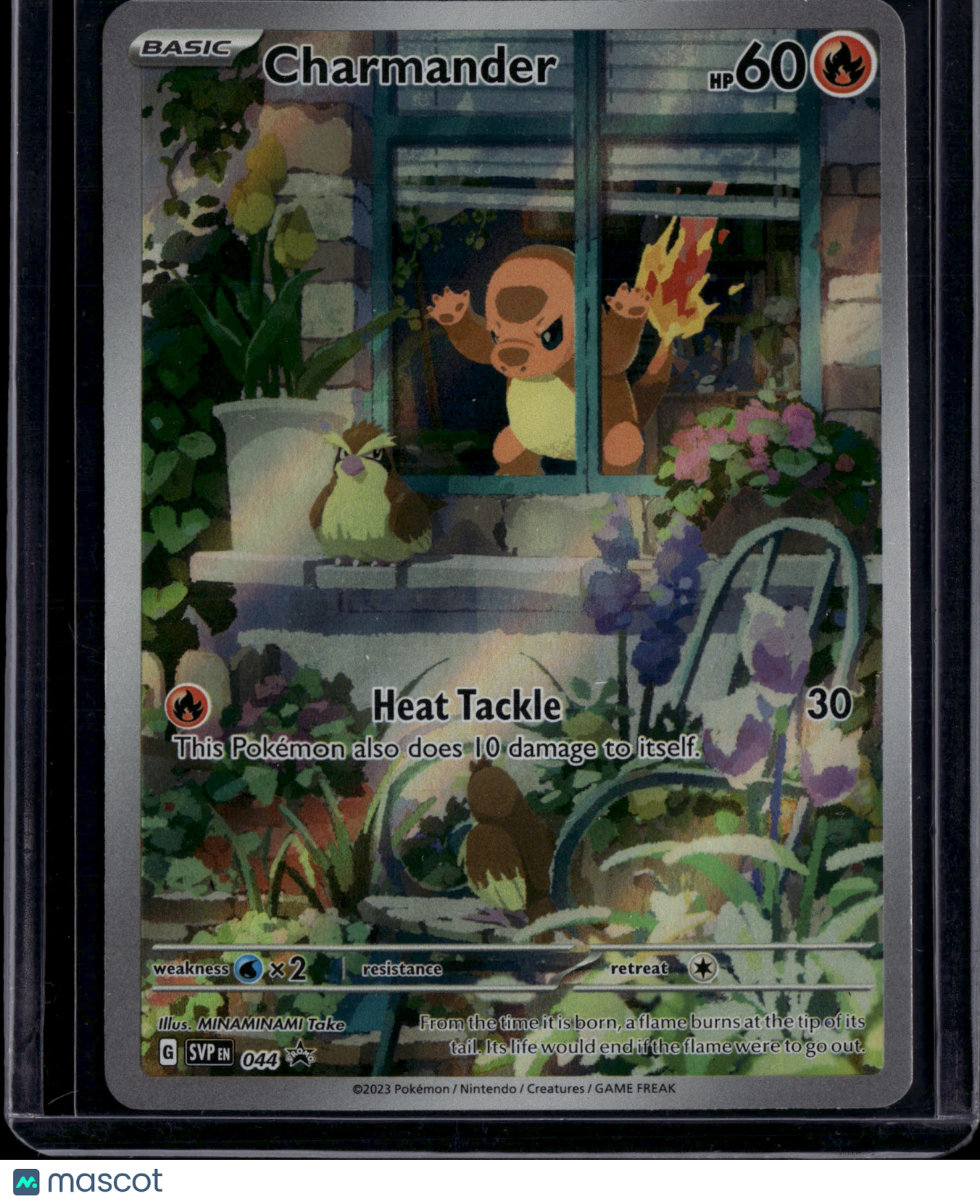 2023 Scarlet & Violet Charmander Holo Black Star Promo #SVP EN 044