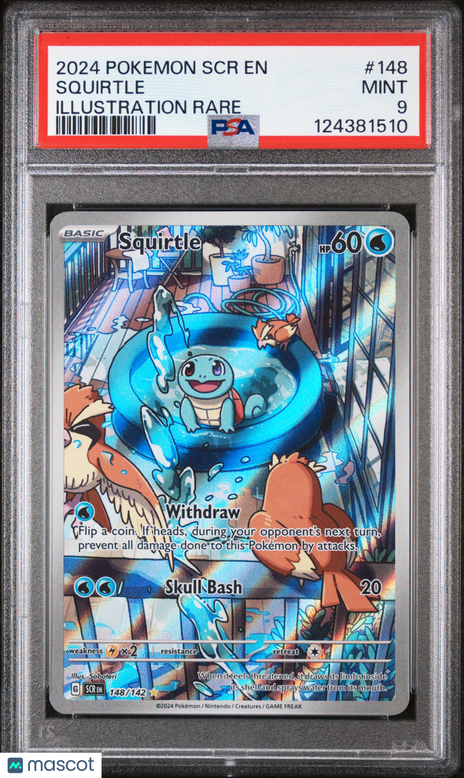 2024 Pokemon SCR EN-Stellar Crown Squirtle Illustration Rare PSA 9 #148