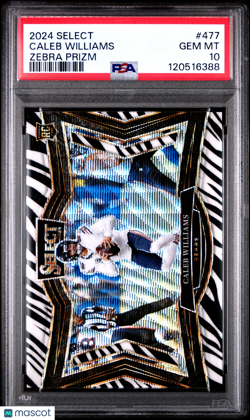 2024 Panini Select Caleb Williams #477 Zebra Prizm PSA 10