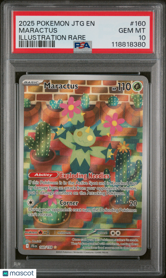2025 Pokemon JTG EN-Journey Together Maractus #160 Illustration Rare PSA 10