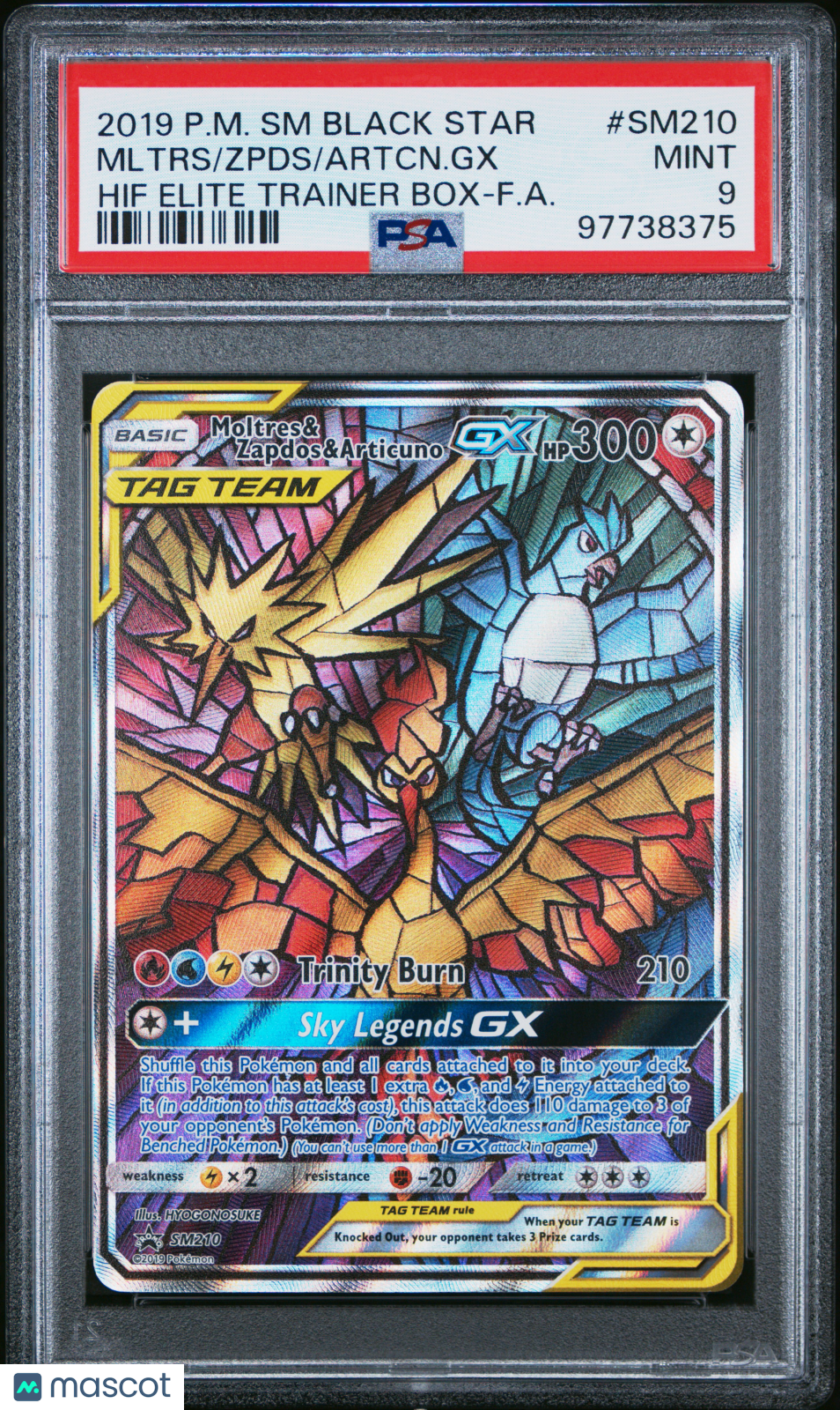 2019 Pokemon SM Black Star Promo Artcn. GX Zpds Mltr ETB PSA 9